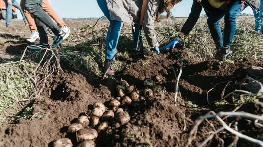 Cmo opera la divisin agro de PepsiCo: foco en la sustentabilidad y la tecnologa