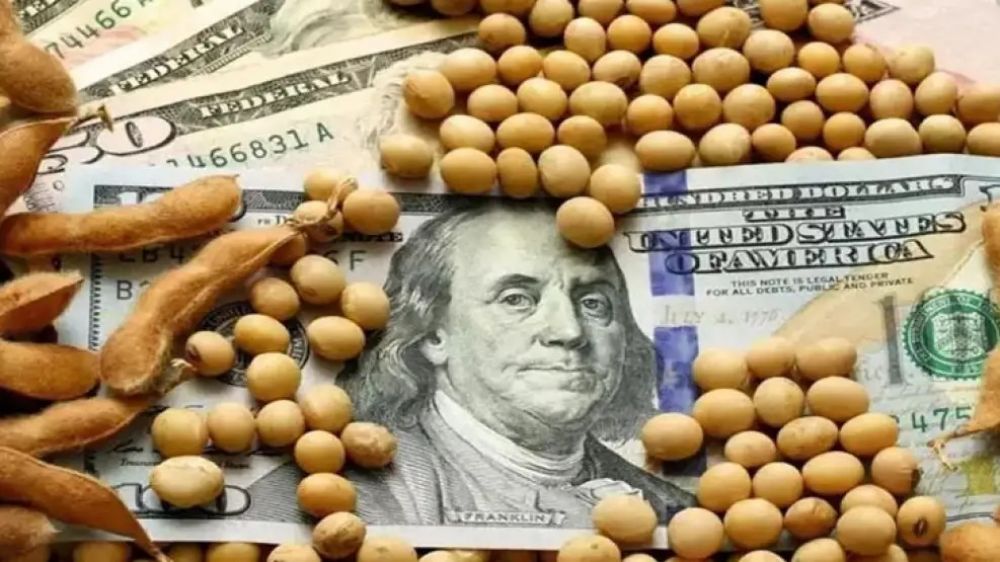 El campo liquid� en mayo 37% de ventas m�s que en abril, pero 37% menos que en 2023
