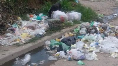 Medio ambiente: Los residuos urbanos, el problema ms grave