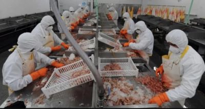Puerto Deseado: sindicato de la alimentacin pide informes a Diputados y pesqueras