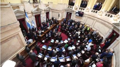 Ley mnibus: a das de la sesin, reaparecen las dudas en los senadores de la oposicin