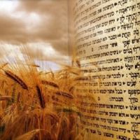 Mensaje de Shavuot del rabino Eliahu Hamra de AMIA