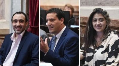 Carambia y Gadano anticipan el rechazo y Abad se mantiene en silencio: los tres senadores que pueden torcer el rumbo de la Ley Bases
