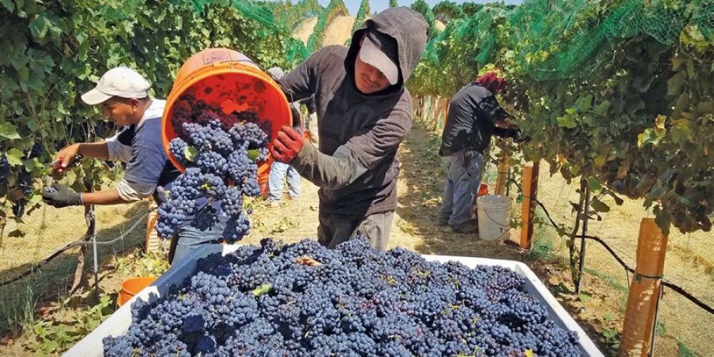 Semforo en rojo: el 80% de las economas regionales est en crisis por la desregulacin y la baja demanda