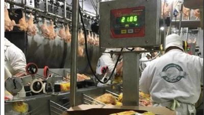 Sin acuerdo en el sector avcola, el gremio de la Alimentacin anuncia paro nacional para este mircoles