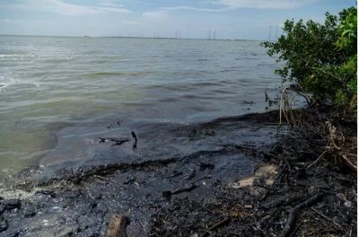 Venezuela extrajo 76.620 toneladas de desechos impregnados de petr�leo de su principal lago