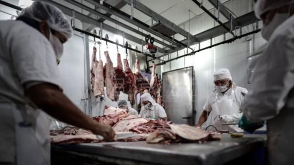 Carne: el freno de los precios no alcanza para reactivar el consumo