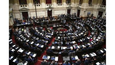 Las dos reformas electorales que marcarn la agenda del Congreso en agosto: debaten las PASO y la Boleta nica