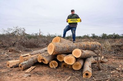 Greenpeace denuncia a los dueos de Manaos por un gigantesco desmonte de 10.000 hectreas