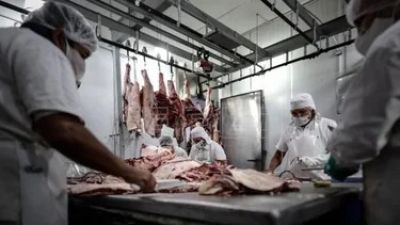 Demoledor informe sobre el consumo de carne en junio: cay a un piso sin precedentes