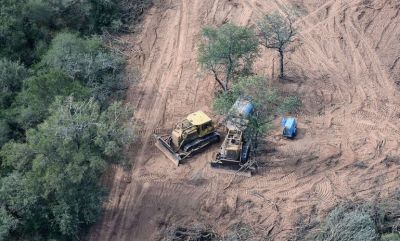 La empresa que fabrica la gaseosa Manaos acusada de deforestar 10 mil hectreas