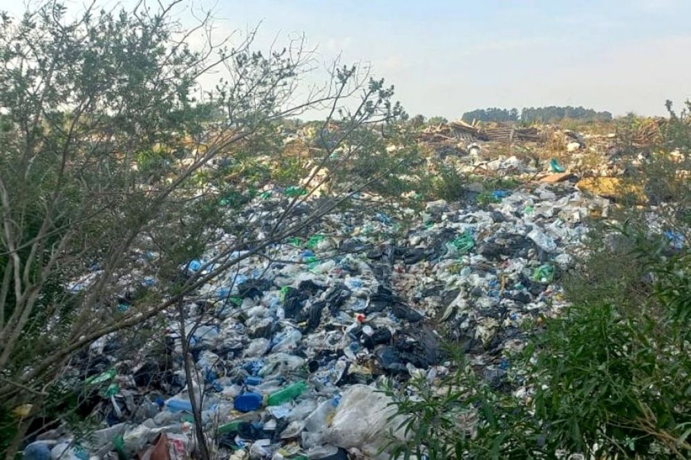 Pedido de informes sobre el basural: Los recuperadores informales realizan tareas sin ningn tipo de proteccin