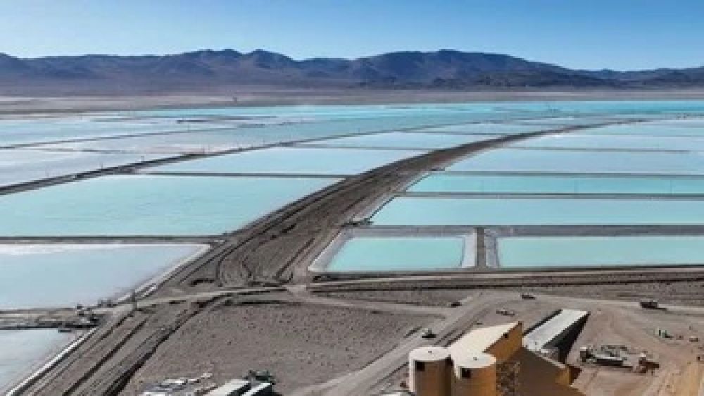 El avance de la extranjerizacin de la tierra en la era Milei