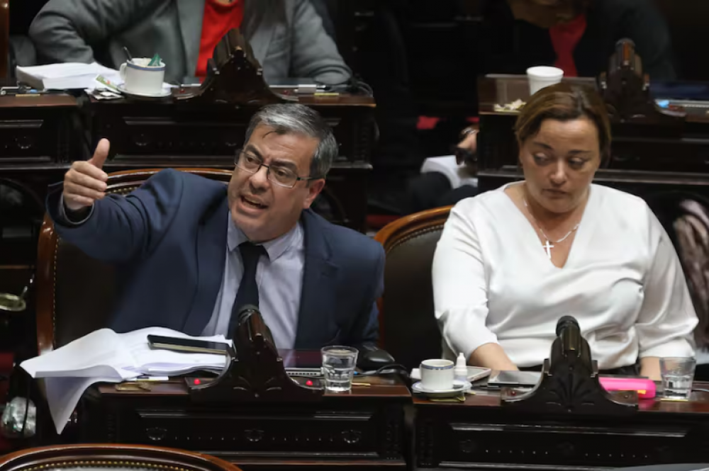 Diputados de Unin por la Patria expresaron su profunda preocupacin por la denuncia por violencia de gnero contra Alberto Fernndez