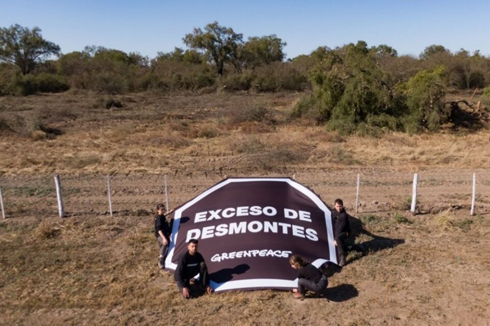 Denuncian otro desmonte en Santiago del Estero