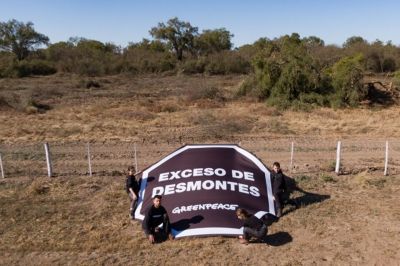 Denuncian otro desmonte en Santiago del Estero