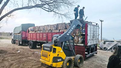 El Municipio envi ms de 16 mil kilos de cartn para reciclar