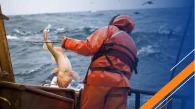 Una batera de derogaciones vuelve a embestir a la pesca argentina con fuerte rechazo de los trabajadores