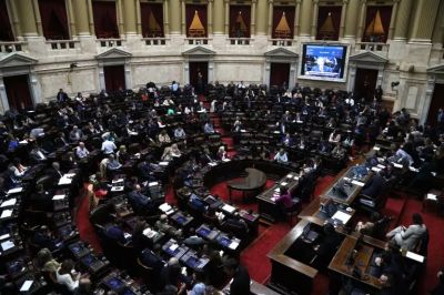 Los debates que deber� enfrentar La Libertad Avanza en un Congreso cada vez m�s adverso