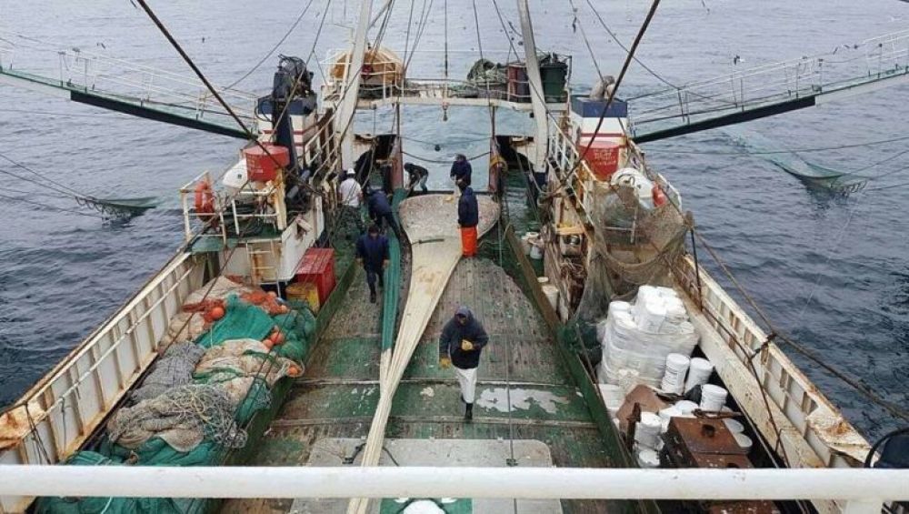 Capitanes de Pesca vs. Ganancias: hay trabajadores que llegaron a pagar hasta 20 millones de pesos, en 4 meses