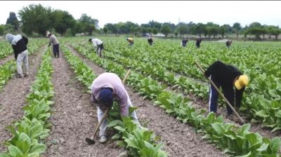 UATRE anuncia a aumentos sucesivos hasta octubre para los trabajadores rurales