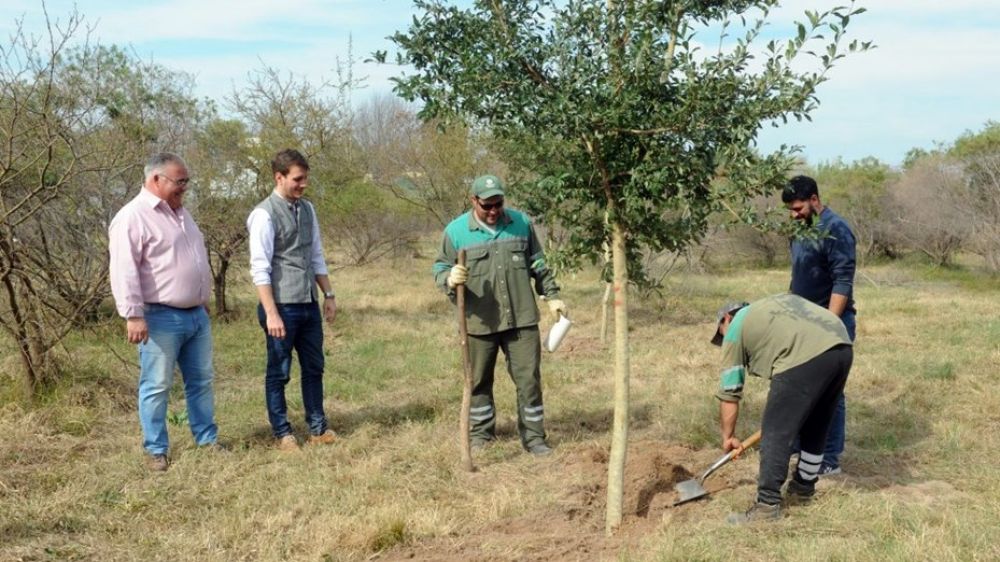 Campaa de Forestacin: se plantaron 120 rboles donde antes haba un basural