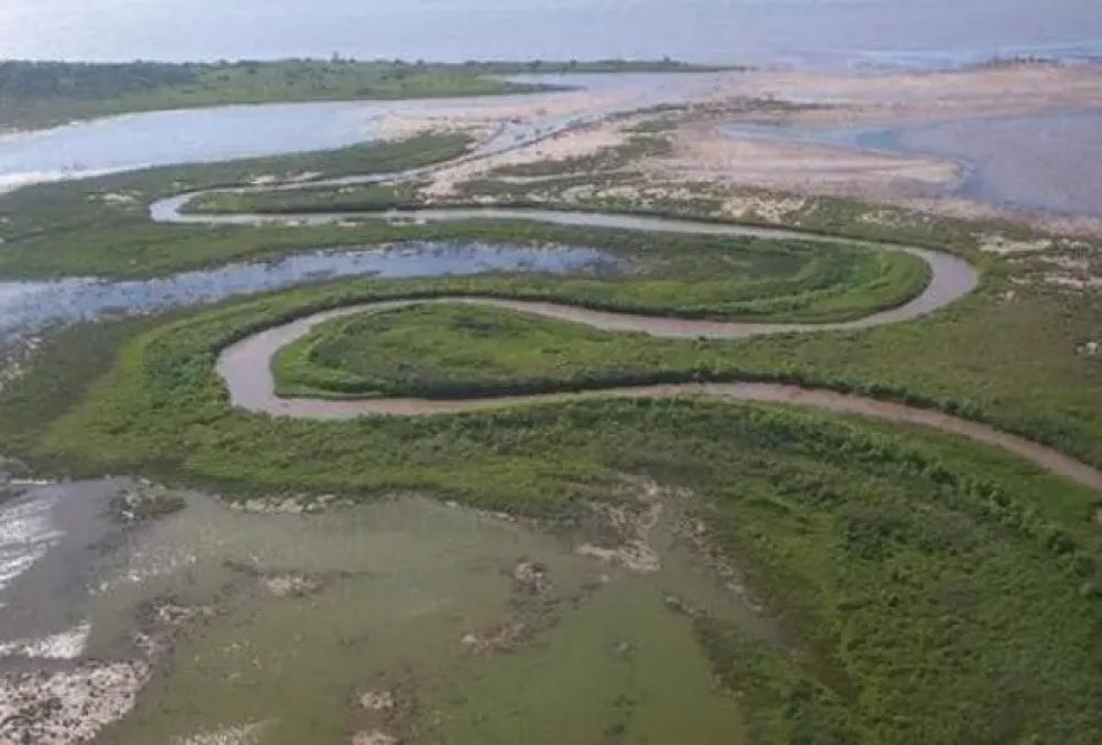 Coca-Cola mat a miles de peces arrojando residuos txicos de su ingenio en el ro Sal: fuerte multa