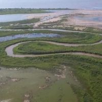 Coca-Cola mat a miles de peces arrojando residuos txicos de su ingenio en el ro Sal: fuerte multa