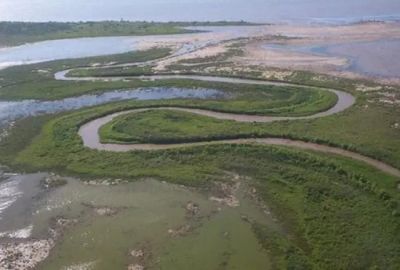 Coca-Cola mat a miles de peces arrojando residuos txicos de su ingenio en el ro Sal: fuerte multa