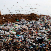 Buenos Aires en la sombra de la basura: habitabilidad y contaminacin en el CEAMSE