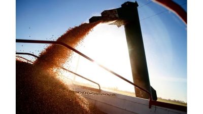 La liquidacin de agroexportadores pone en jaque la acumulacin de reservas y las retenciones