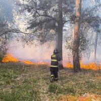 Nuevos incendios en el Bosque de los Constituyentes y el relleno sanitario municipal