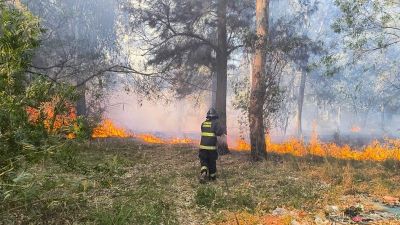 Nuevos incendios en el Bosque de los Constituyentes y el relleno sanitario municipal