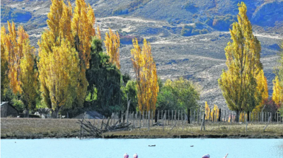 Un pueblo de Neuqun cerr su basural a cielo abierto y ahora recicla el 75% de sus residuos