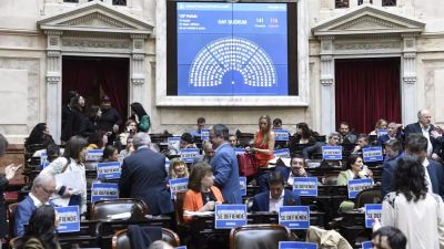 Cambiaron votos en Diputados y la definicin sobre el financiamiento universitario est en los gobernadores