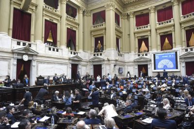 Los 27 diputados egresados de universidades pblicas que apoyaron el veto