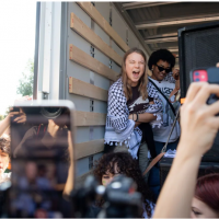 Greta Thunberg: de nia prodigio del clima al smbolo del antisemitismo