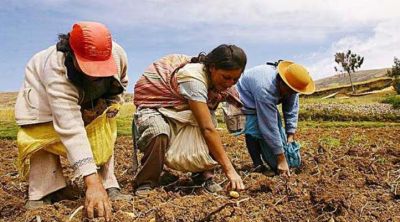 Da Mundial de la Alimentacin: el Papa denuncia el 'flagelo del hambre'