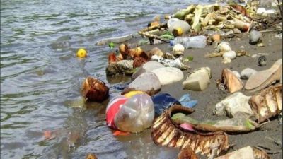 Nueva jornada Ms Ro, Menos Basura para recolectar los residuos en la zona del Acuario