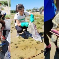 La recoleccin en el ro, con ms basura que en 2023: sorprendieron sorbetes y otros plsticos, adems de animales muertos