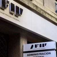 Del hachazo en AFIP al blanqueo de capitales: las medidas de Milei que favorecen a los hroes evasores