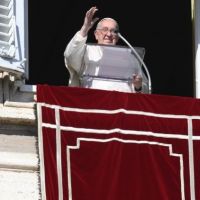 El Papa en el ngelus: La fuente de todo es el amor