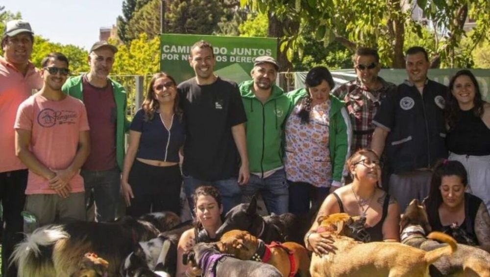 El sindicato de paseadores de perros muestra los dientes y pide derechos laborales