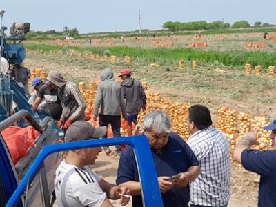 Detectan graves irregularidades laborales en un establecimiento agropecuario de la provincia de Santiago del Estero