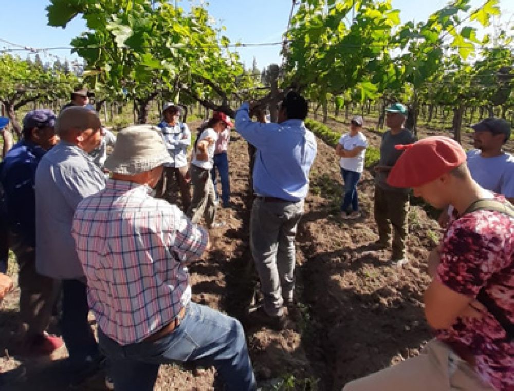 El RENATRE capacit a trabajadores rurales desempleados en Mendoza