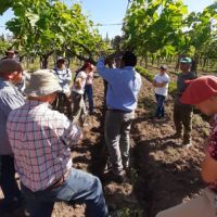 El RENATRE capacit a trabajadores rurales desempleados en Mendoza