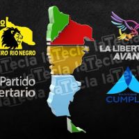 Los avances y las peleas libertarias en la regin de cara al 2025