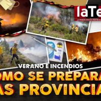 Cmo se preparan las provincias patagnicas para los incendios en el verano