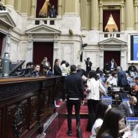 Diputados: la oposicin pidi sesin especial para tratar DNU que permite canje de deuda sin pasar por el Congreso