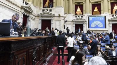 Diputados: la oposicin pidi sesin especial para tratar DNU que permite canje de deuda sin pasar por el Congreso